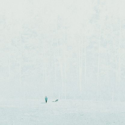 Invitation From The Forest