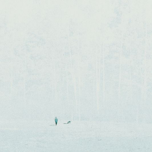 Invitation From The Forest