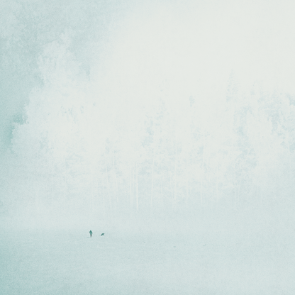 Invitation From The Forest