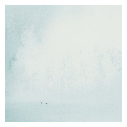 Invitation From The Forest